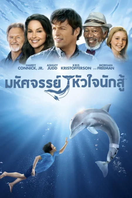 Dolphin Tale (2011) มหัศจรรย์โลมาหัวใจนักสู้ - Dolphin Tale