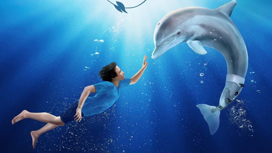 Dolphin Tale (2011) มหัศจรรย์โลมาหัวใจนักสู้ - Dolphin Tale