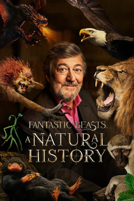 Fantastic Beasts A Natural History (2022) - Fantastic Beasts: A Natural History