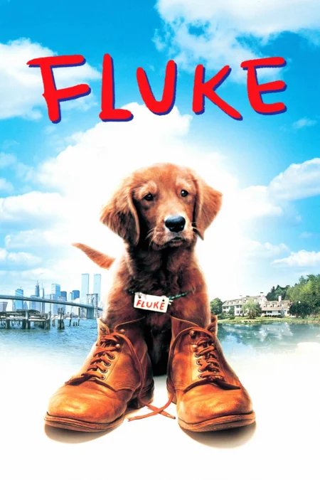 Fluke (1995) เกิดใหม่กลายเป็นหมา - Fluke