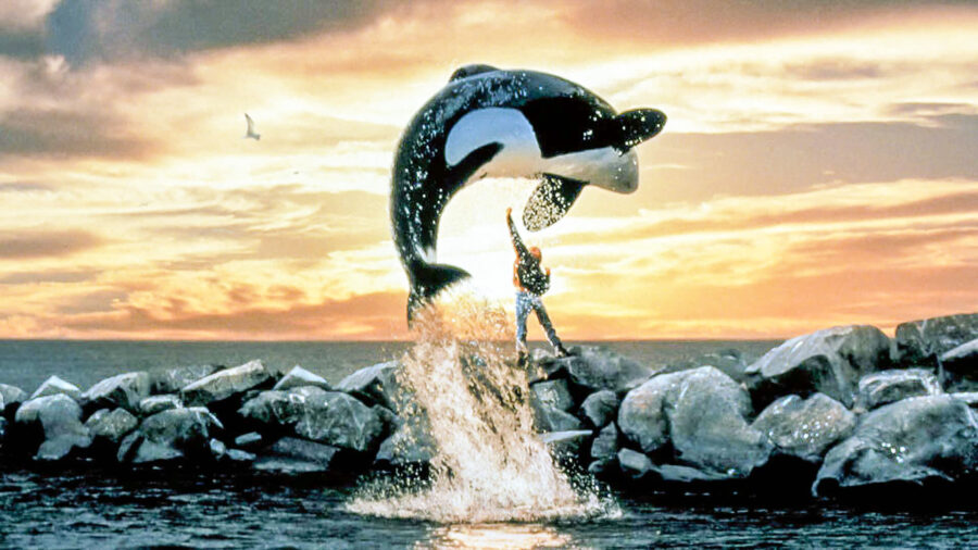 Free Willy (1993) ฟรี วิลลี่ เพื่อเพื่อนด้วยหัวใจอันยิ่งใหญ่ - Free Willy