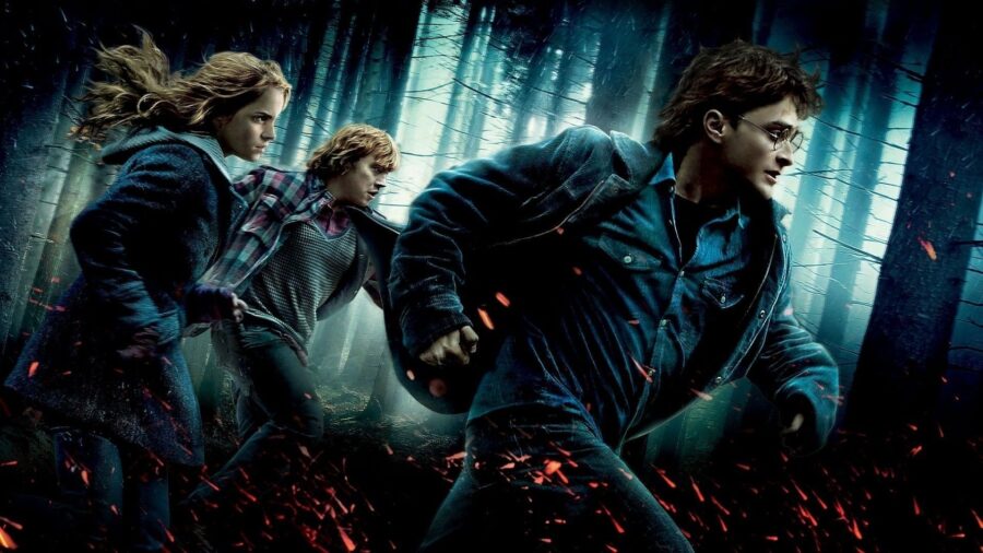 Harry Potter and the Deathly Hallows Part 1 (2010) แฮร์รี่ พอตเตอร์ กับ เครื่องรางยมฑูต ตอน 1 - Harry Potter and the Deathly Hallows: Part 1