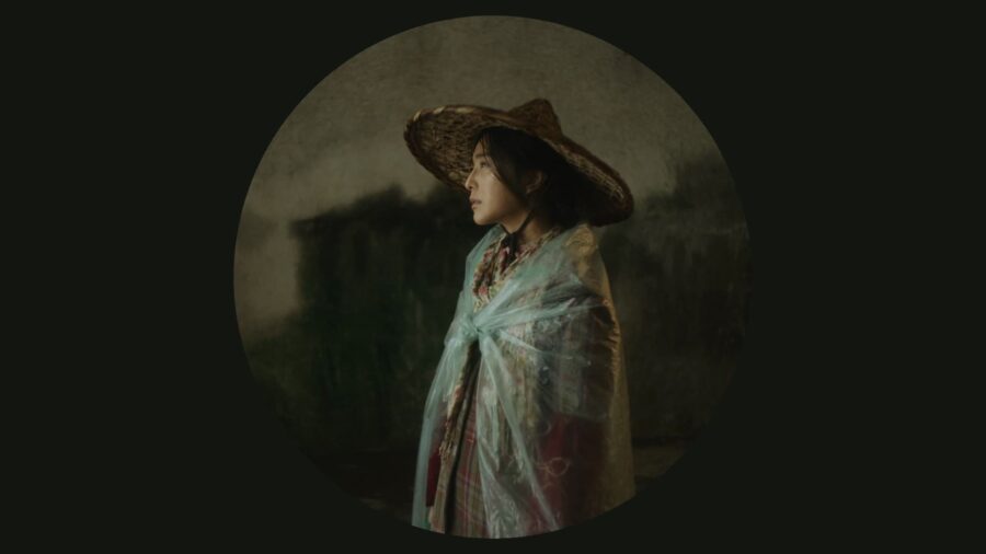 I Am Not Madame Bovary (2016) อย่าคิดหลอกเจ้ - 我不是潘金莲