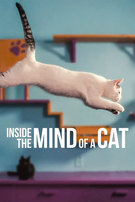 คิดแบบแมวๆ Inside the Mind of a Cat (2022) - Inside the Mind of a Cat