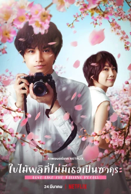 Love Like The Falling Petals (2022) ใบไม้ผลิที่ไม่มีเธอเป็นซากุระ - 桜のような僕の恋人