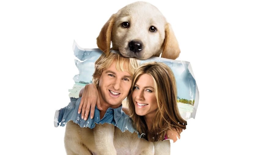 Marley & Me (2008) จอมป่วนหน้าซื่อ - Marley & Me