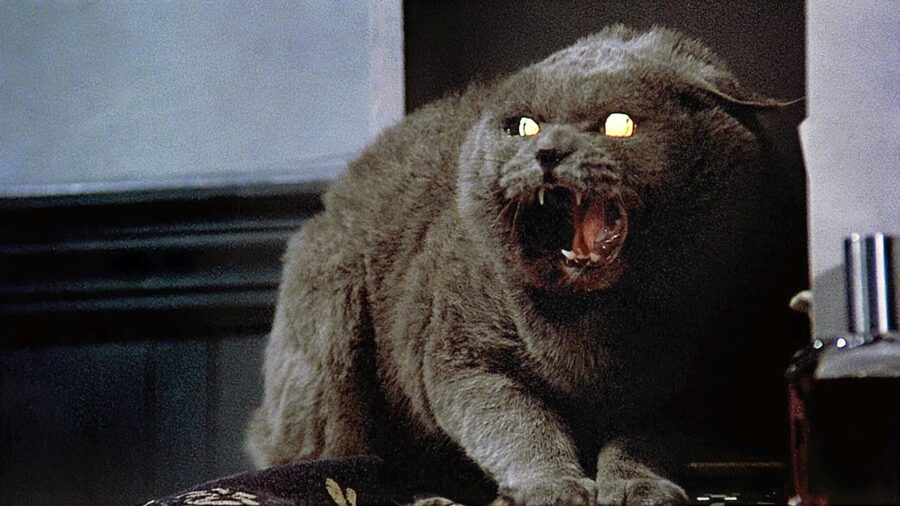 Pet Sematary (1989) กลับจากป่าช้า - Pet Sematary