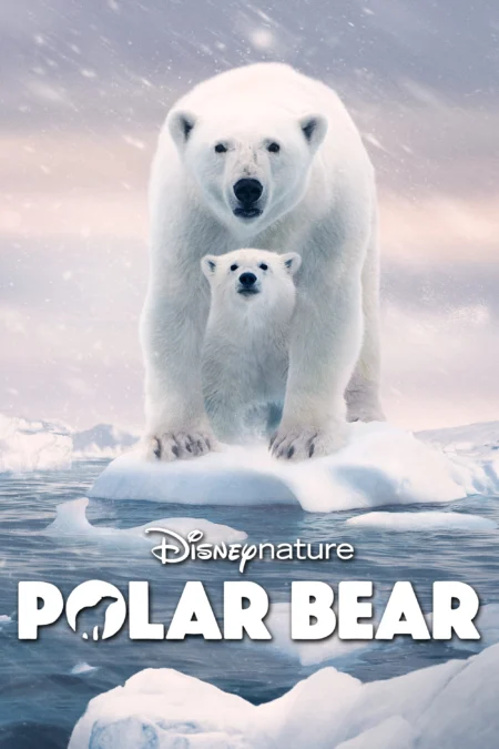 Polar Bear (2022) พากย์ไทย - Polar Bear