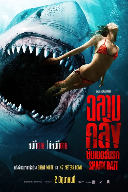 Shark Bait (2022) ฉลามคลั่ง ซัมเมอร์นรก - Shark Bait