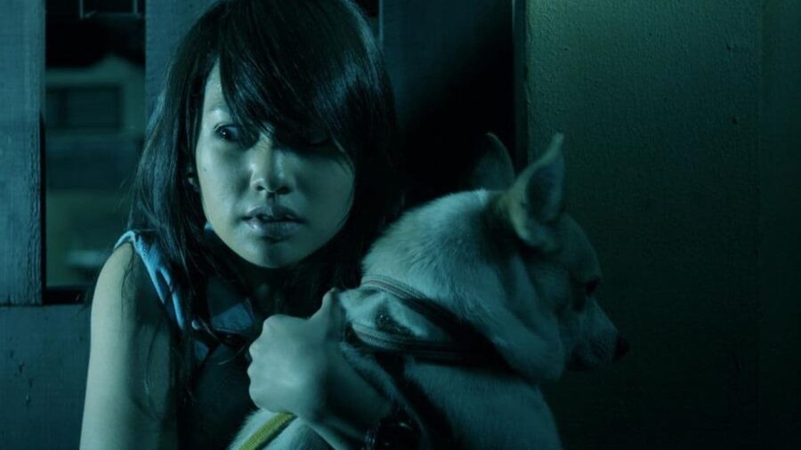 The Child’s Eye (2010) ผีทะลุตา 3 มิติ - 童眼