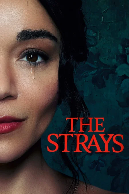 The Strays (2023) คนหลงทาง - The Strays